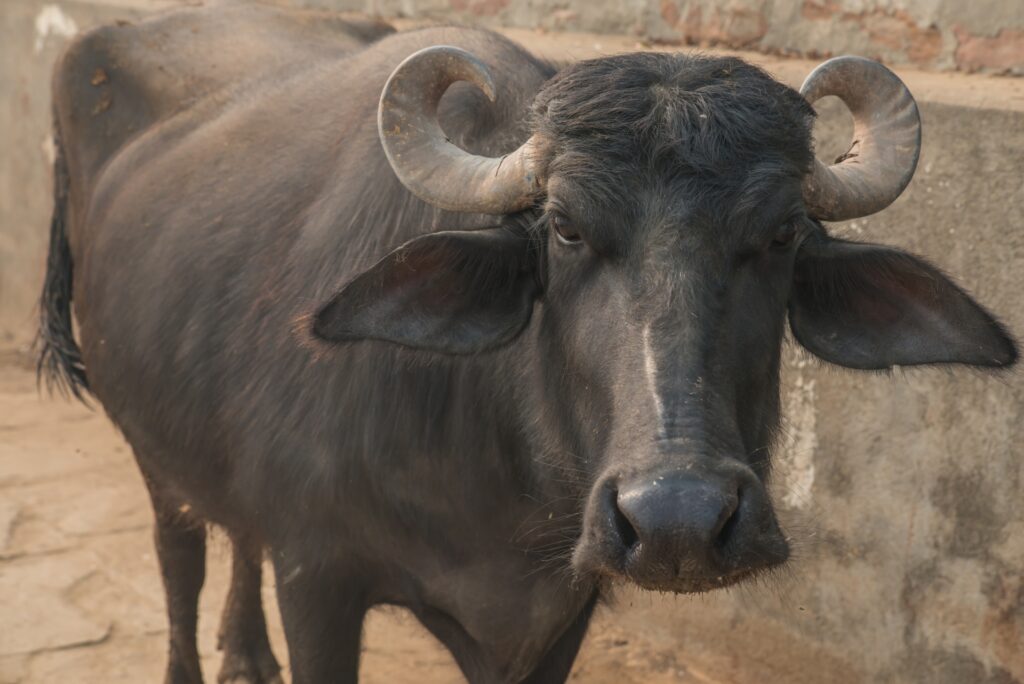 備忘録 VOL.31「日本の幸福度」