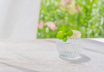 備忘録 VOL.34「運の良い人」